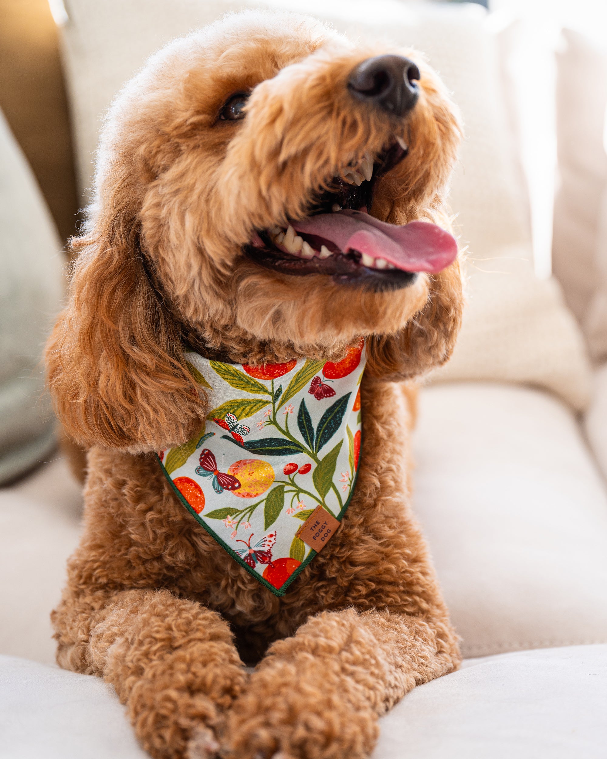 PF x The Foggy Dog Butterfly Grove - Dog Bandana - Soft Blue