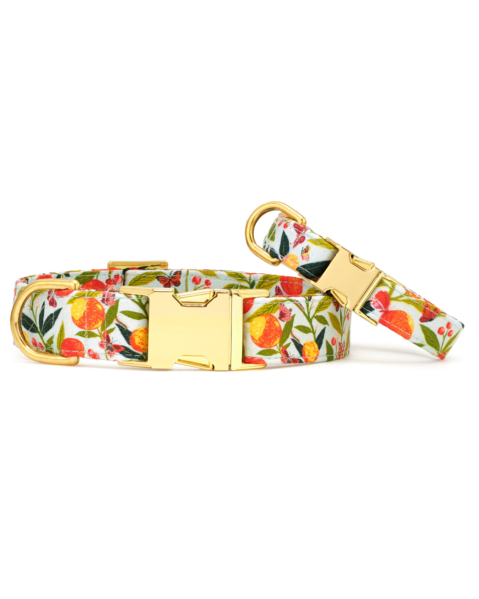 PF x The Foggy Dog Butterfly Grove - Walk Set Bundle - Multi